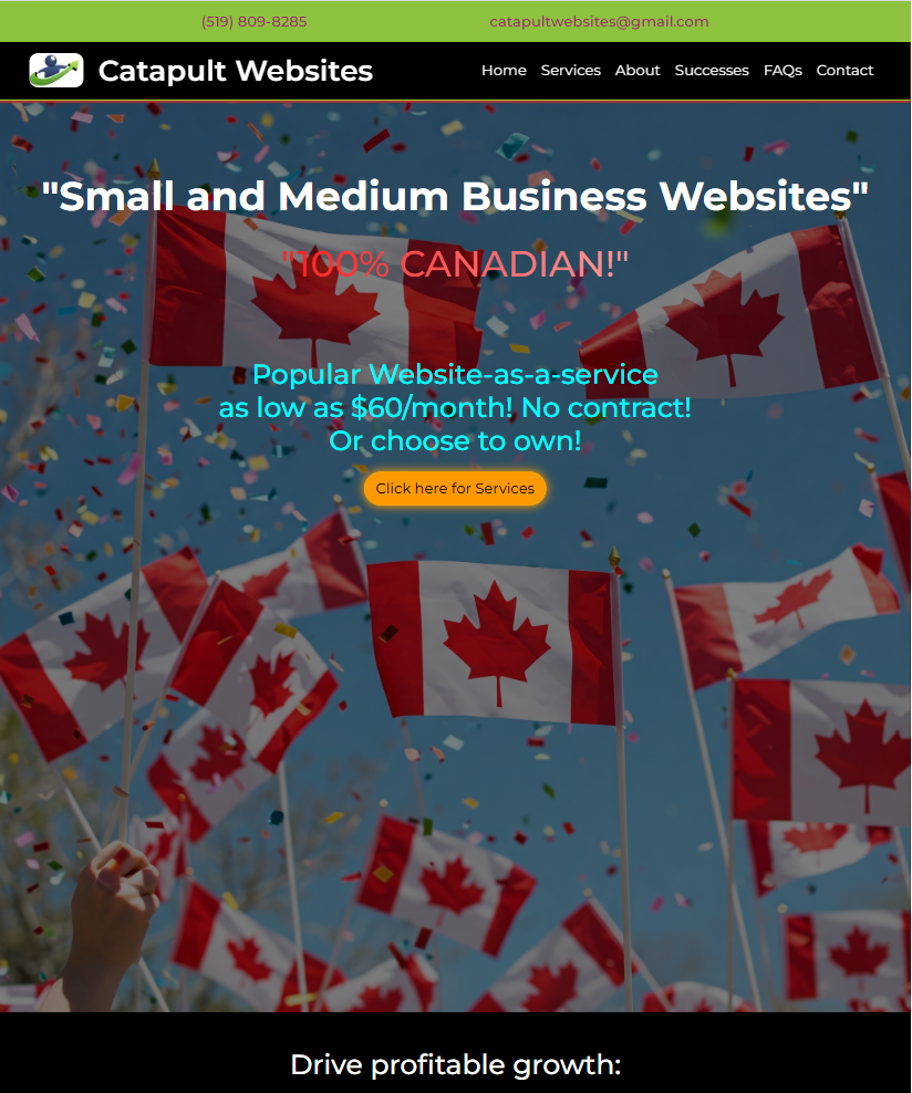 Image of Catapult Websites website.